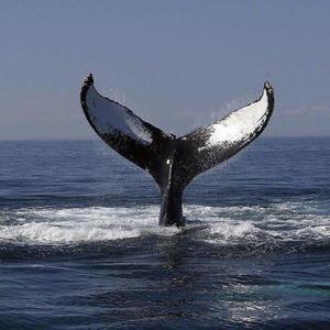 装睡被陌生人揉到高潮文章
